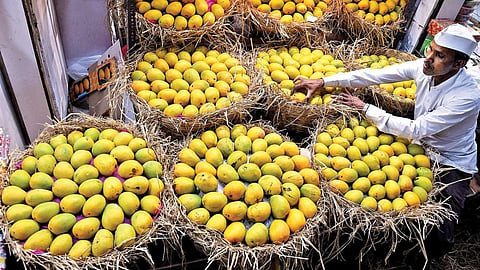 Mango Market 