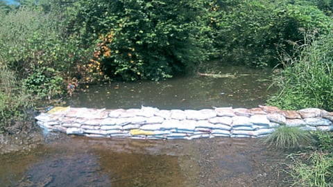Water Management