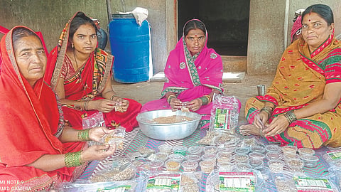 Seed Bank In Solapur
