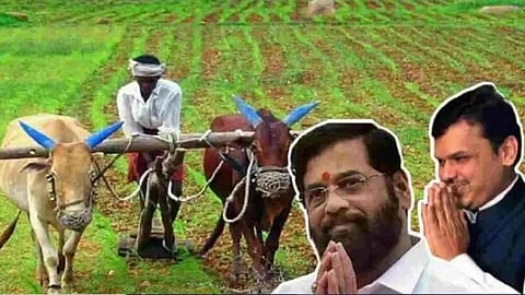 Crop Loan Cibil Score