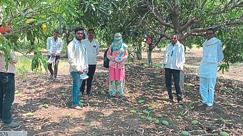 Crop Damage