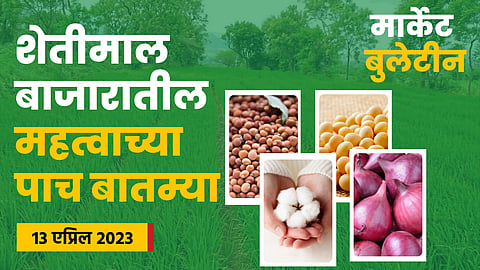 Soybean Rate 