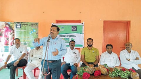 Sugarcane Production Guidance 
