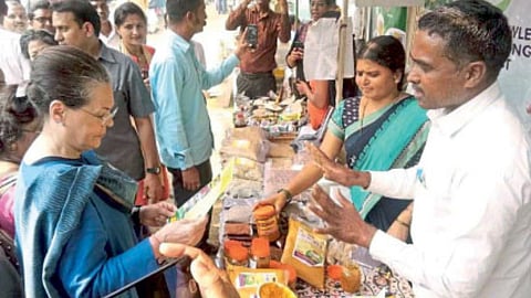 Turmeric Processing Industry
