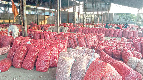 Onion Market