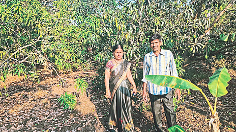 Indian Agriculture