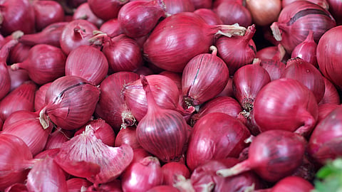 onion