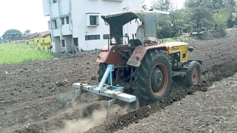 Sowing Update 