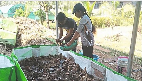 Making Compost