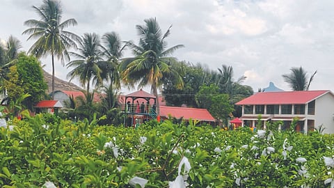 Agri Tourism