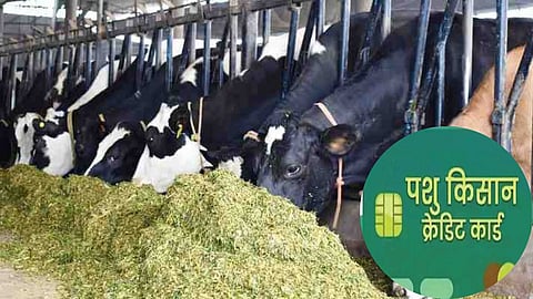 Pashu Kisan Credit Card 