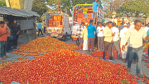 Tomato Market