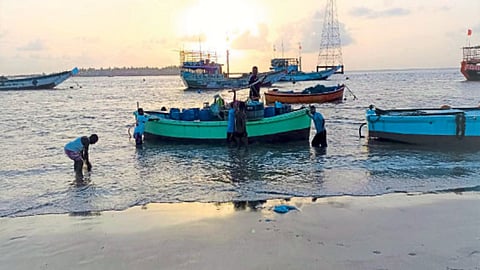 Fisheries  