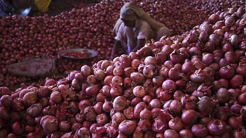 onion storage