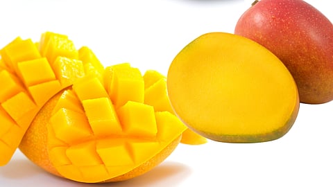 Mango Pulp Rate