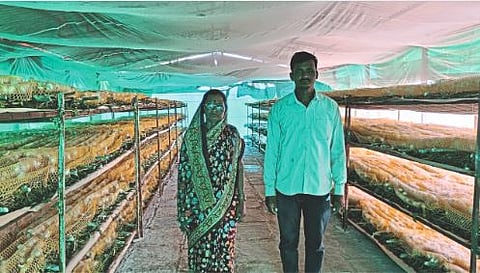 Silk Business