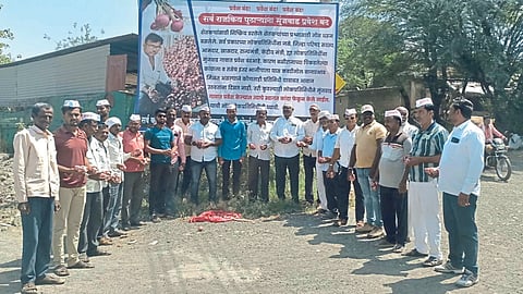 Onion Market 