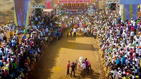 Bailgada Sharyat