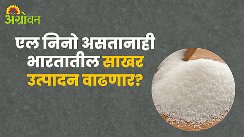 Indian Sugar Production