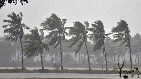 Rain Update