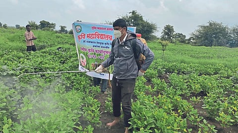Pesticide 