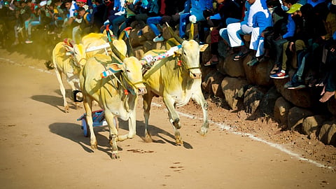 Bailgada