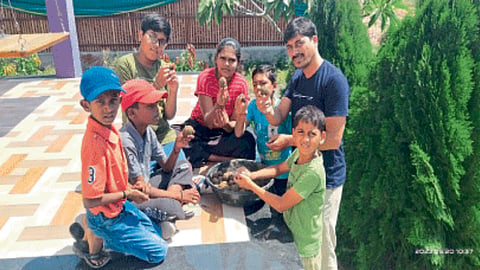 Environmental Conservation