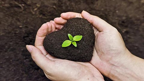 Organic Farming 