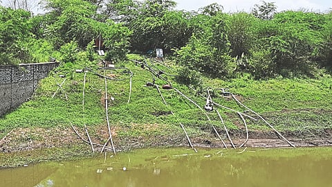 Irrigation Management 