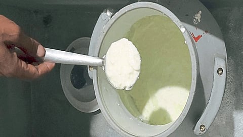 Dairy Business