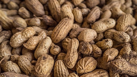 Groundnut Rate