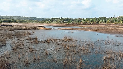 Water Shortage
