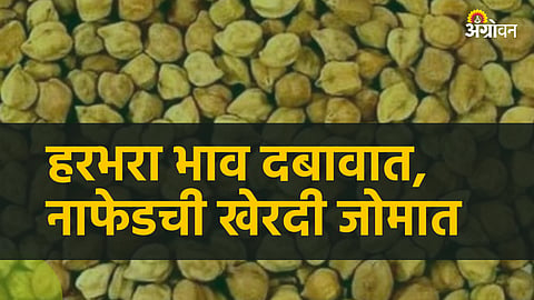 Chana Market 