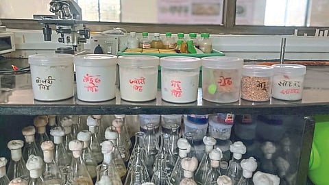 Biological Lab