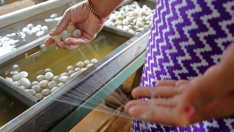 Silk Industry
