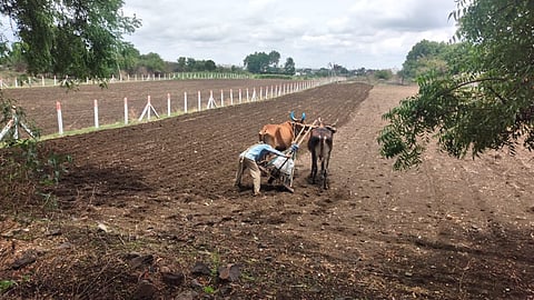 Kharif season 2023