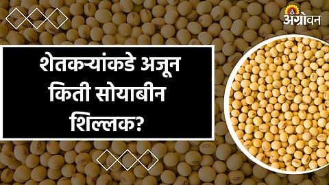 Soybean Market