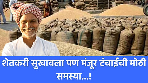 India Paddy Production
