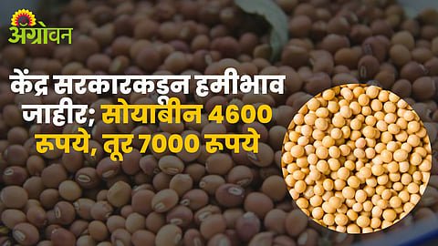 MSP Kharif