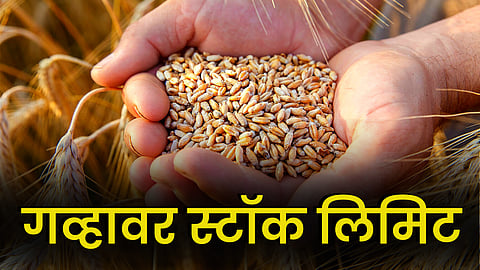 Wheat Market