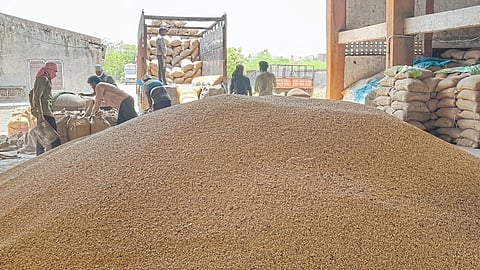 Soybean Market
