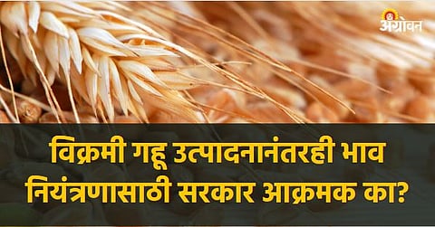 Wheat Prices