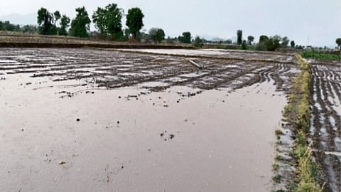 Nashik Rain