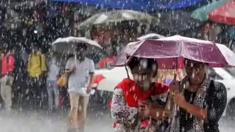 Rain