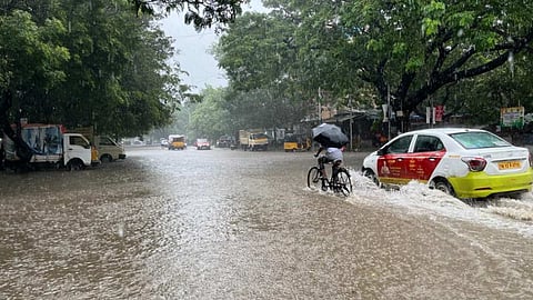  Rain Update