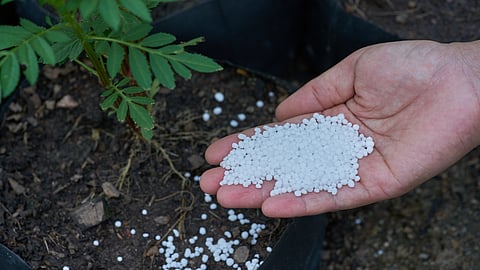 Urea Use 