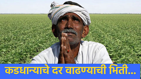 Moong Growers Farmer