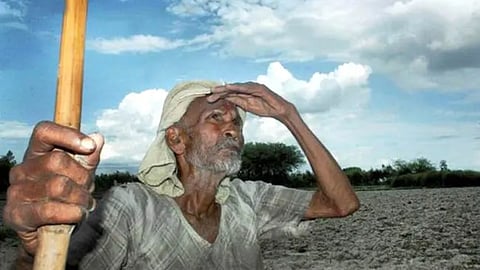 Karad Sowing