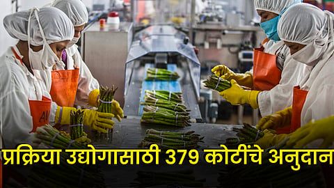 Food Processing 