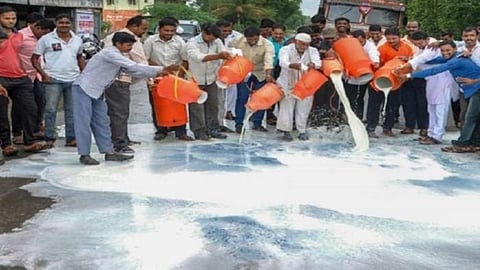 Milk Rate In Maharashtra